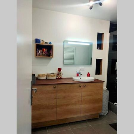 Logement entier+ jardin privé et parking 2places Rouen Buitenkant foto