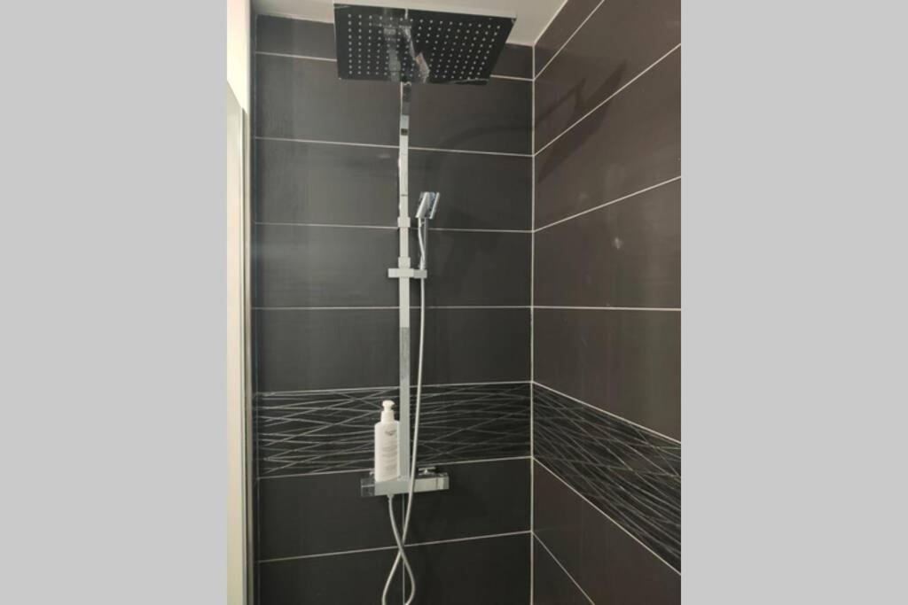 Logement entier+ jardin privé et parking 2places Rouen Buitenkant foto